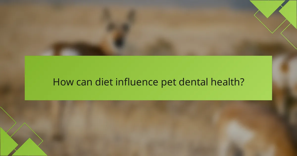 How can diet influence pet dental health?