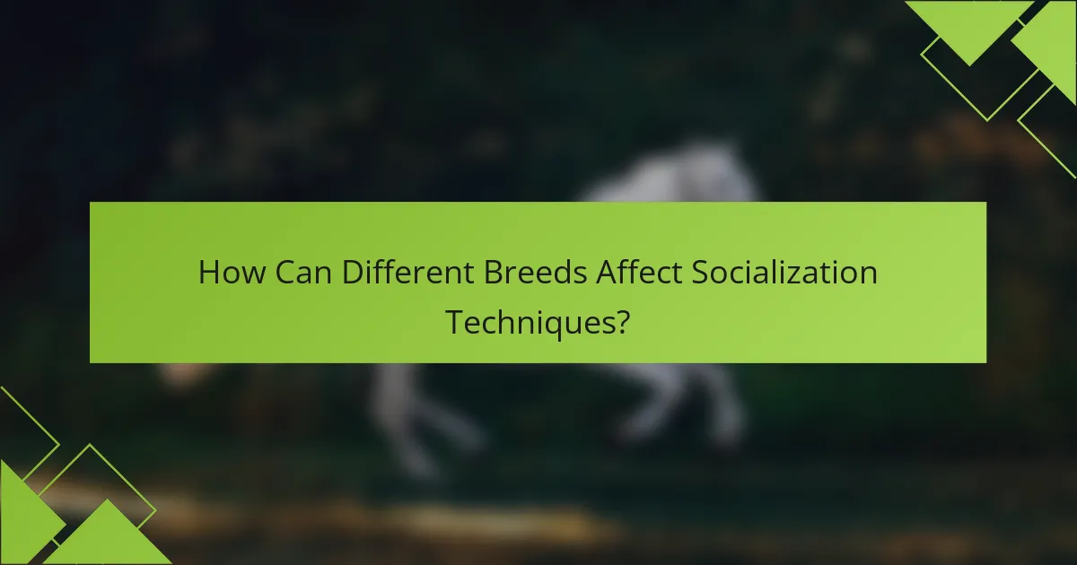How Can Different Breeds Affect Socialization Techniques?