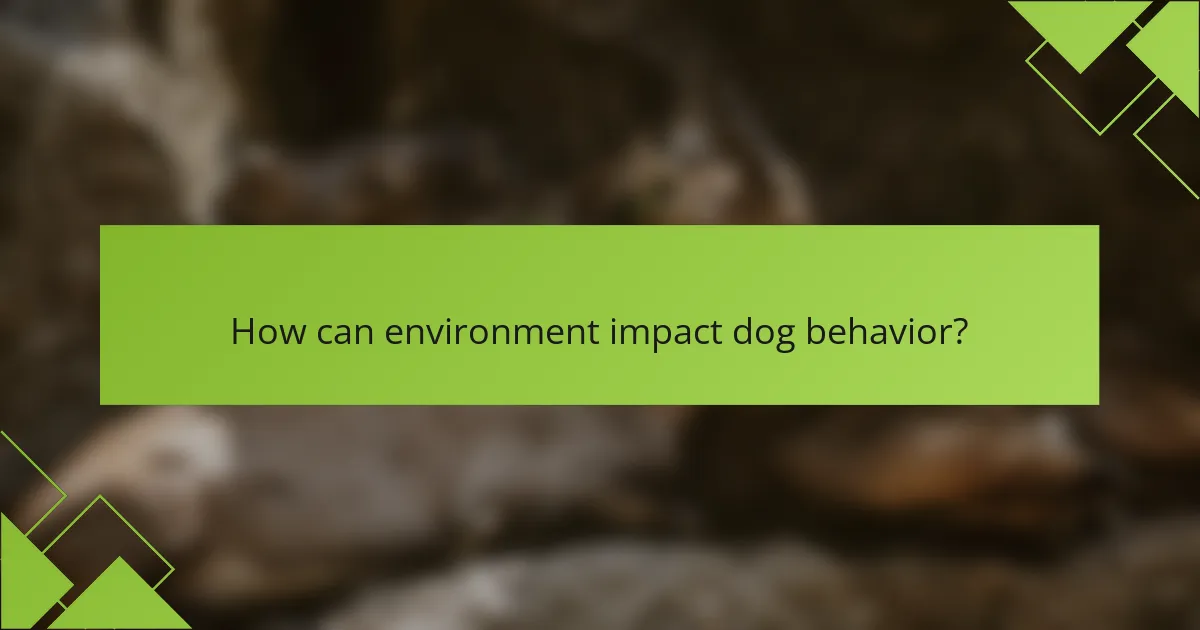 How can environment impact dog behavior?