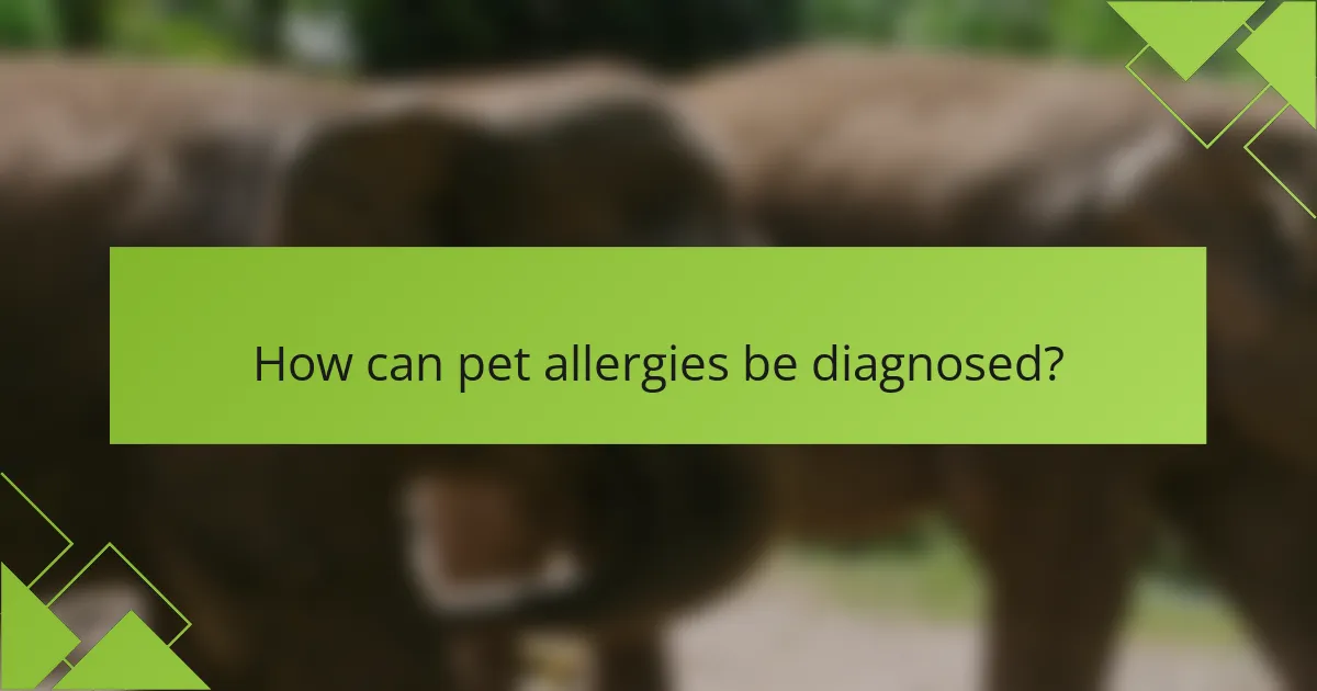 How can pet allergies be diagnosed?