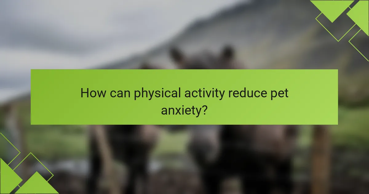 How can physical activity reduce pet anxiety?