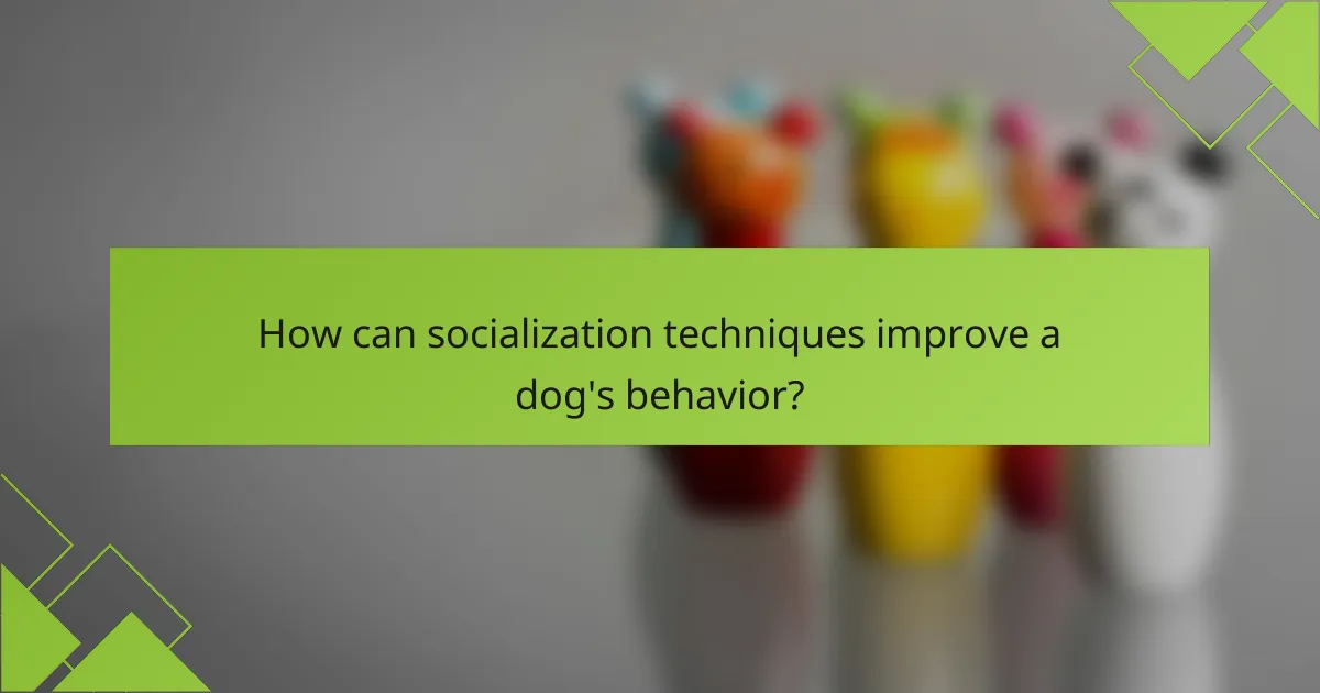 How can socialization techniques improve a dog's behavior?