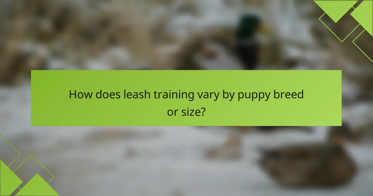 How does leash training vary by puppy breed or size?