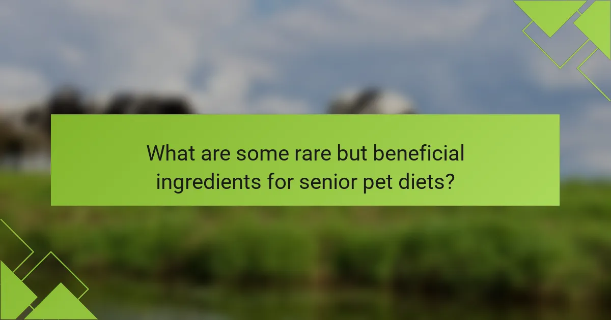 What are some rare but beneficial ingredients for senior pet diets?