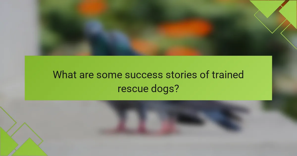 What are some success stories of trained rescue dogs?