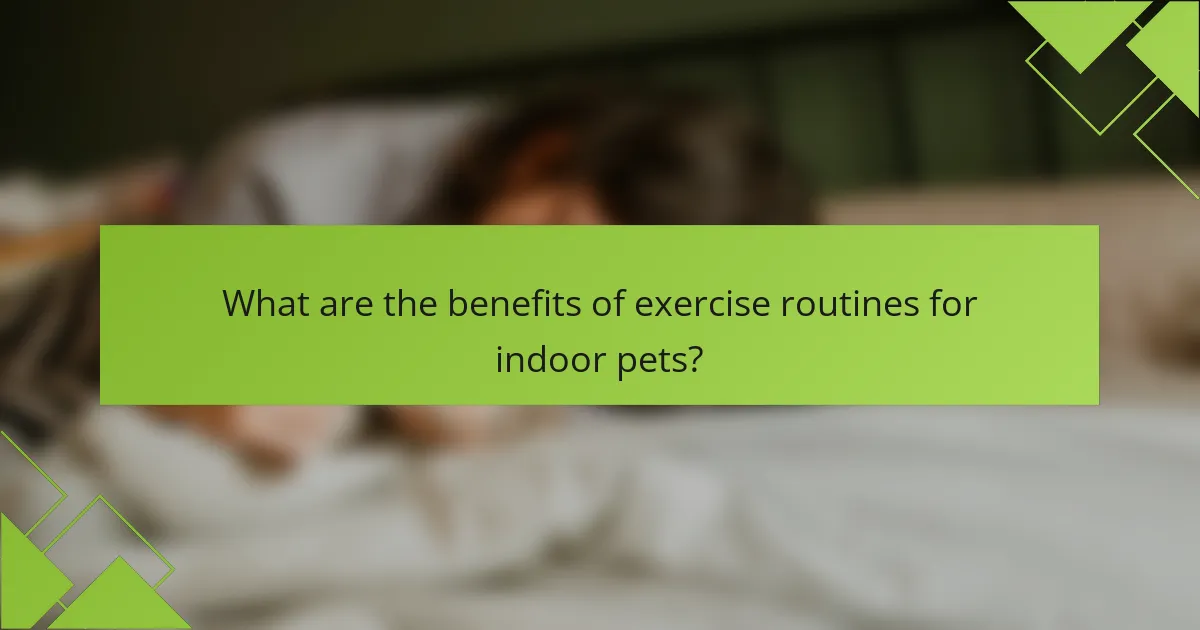 What are the benefits of exercise routines for indoor pets?