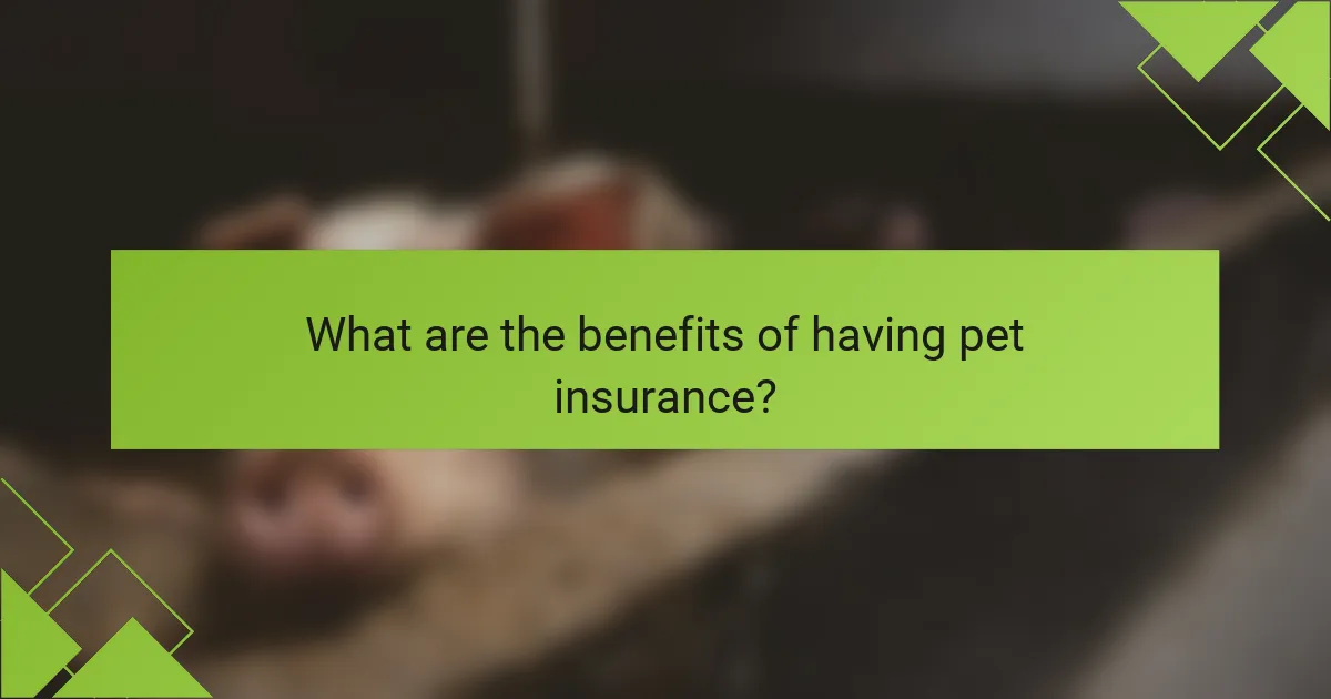 What are the benefits of having pet insurance?
