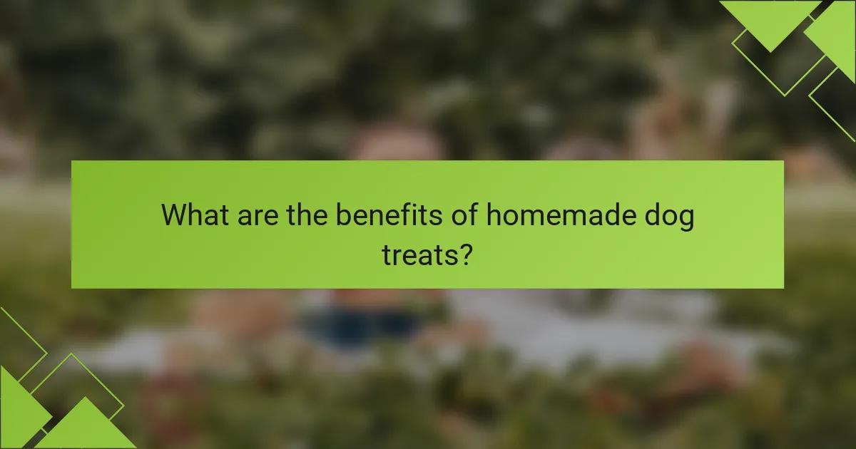 What are the benefits of homemade dog treats?