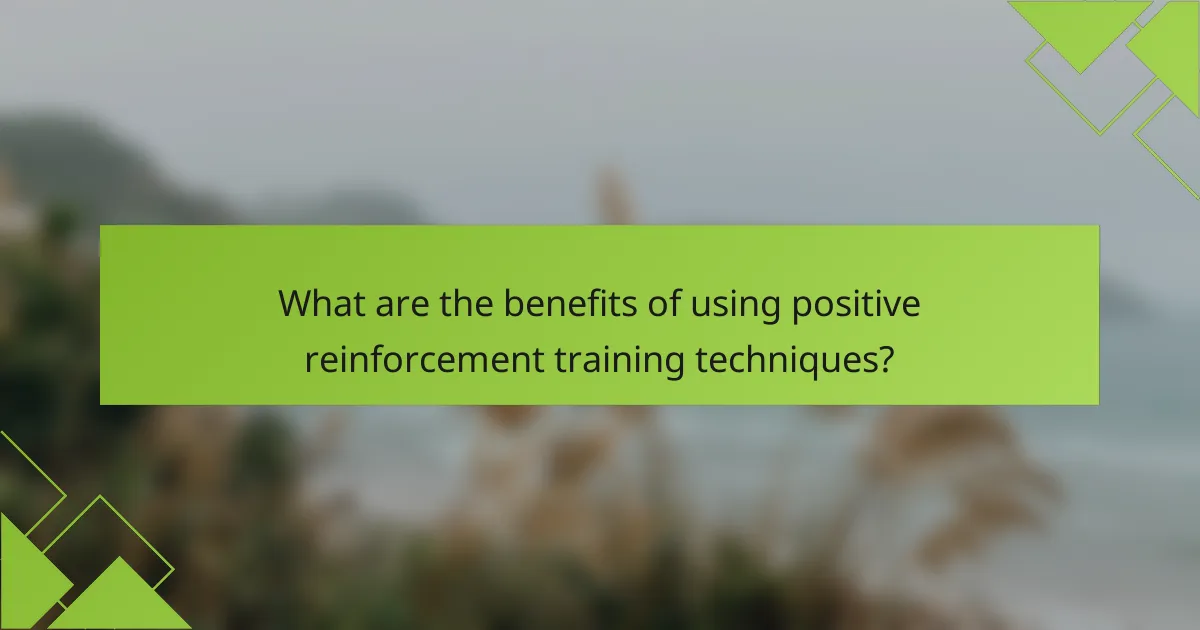 What are the benefits of using positive reinforcement training techniques?