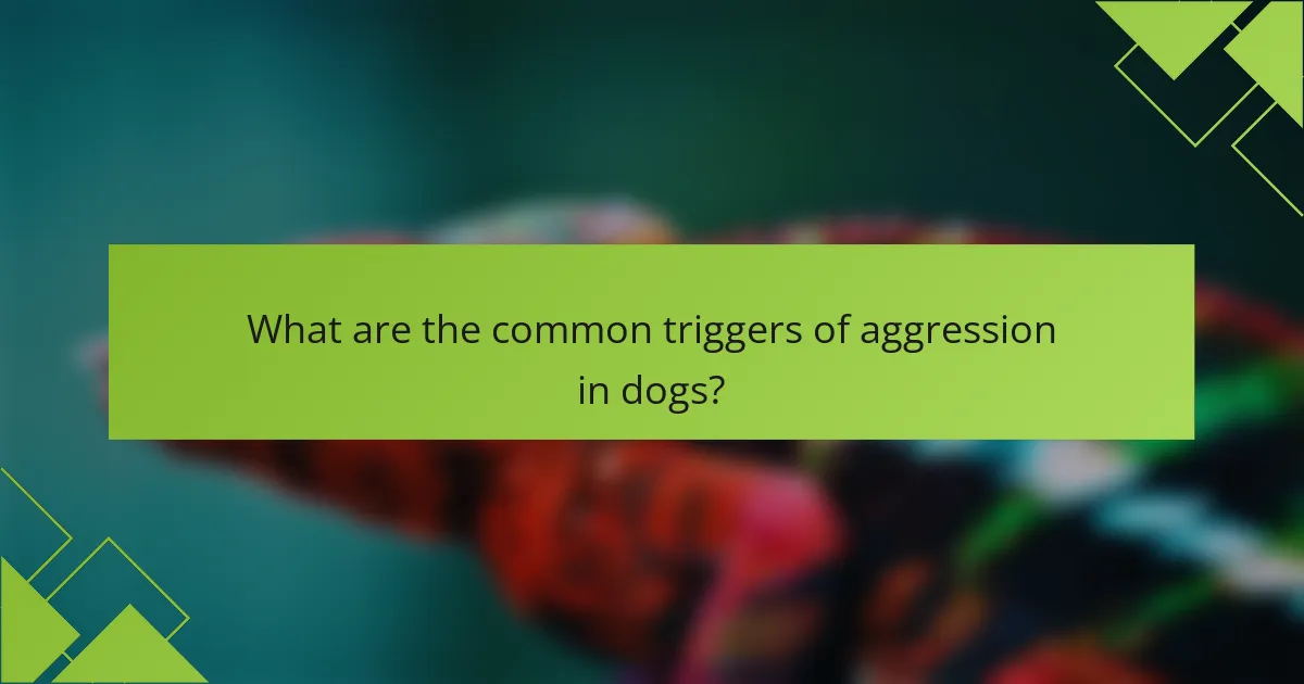What are the common triggers of aggression in dogs?