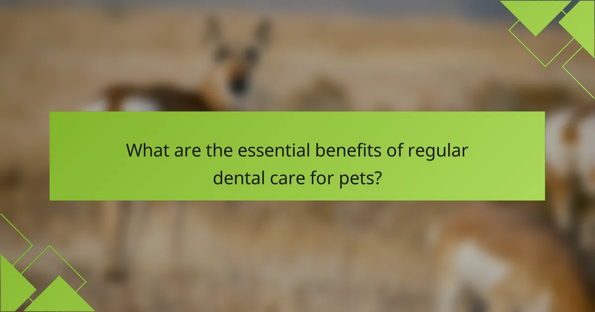 What are the essential benefits of regular dental care for pets?