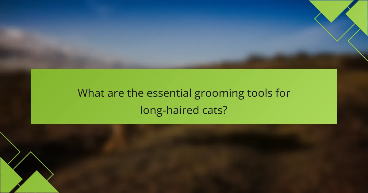 What are the essential grooming tools for long-haired cats?