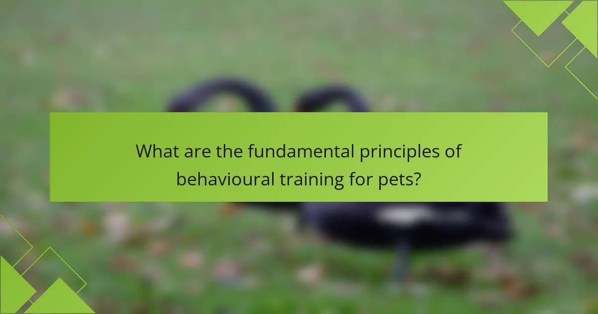 What are the fundamental principles of behavioural training for pets?