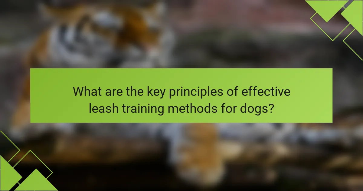 What are the key principles of effective leash training methods for dogs?