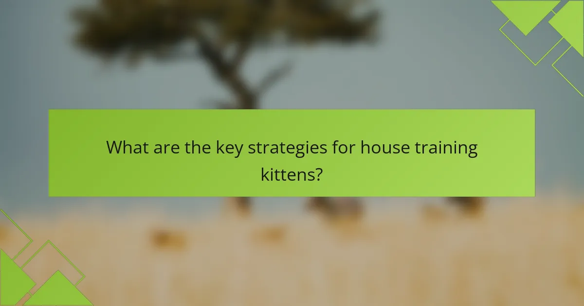 What are the key strategies for house training kittens?