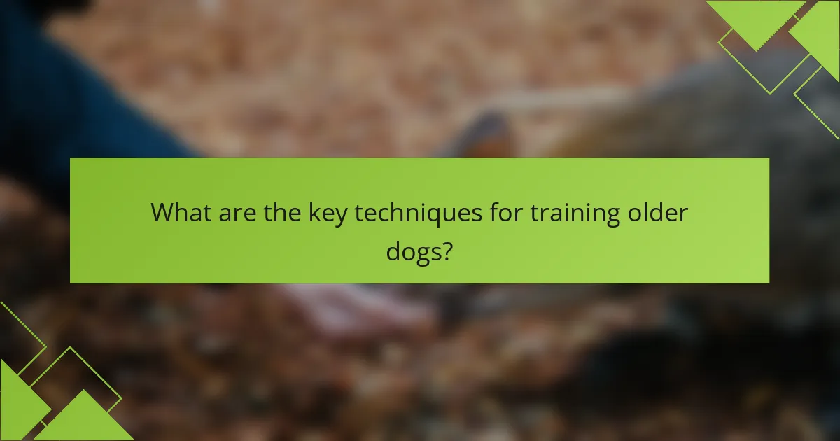 What are the key techniques for training older dogs?