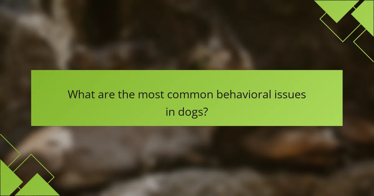 What are the most common behavioral issues in dogs?