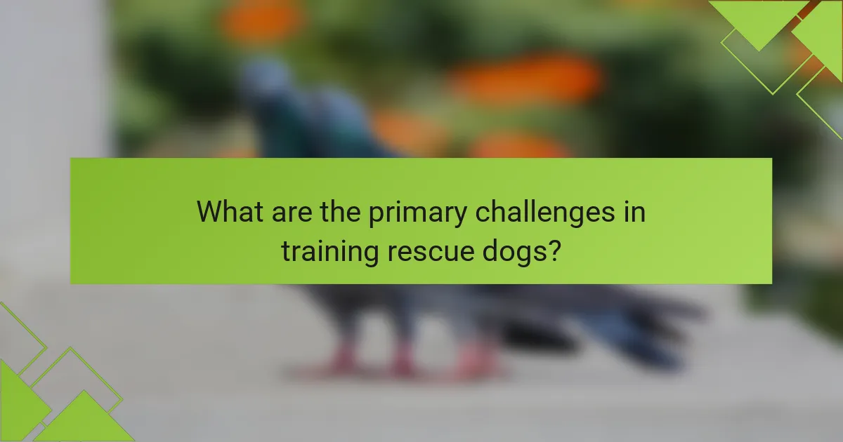 What are the primary challenges in training rescue dogs?