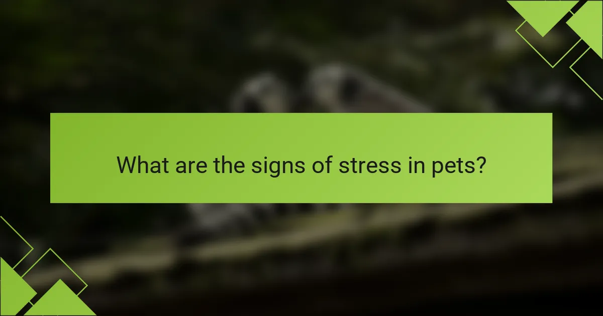 What are the signs of stress in pets?