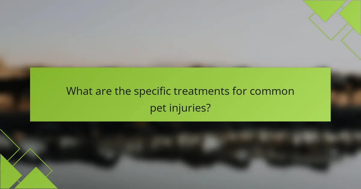 What are the specific treatments for common pet injuries?
