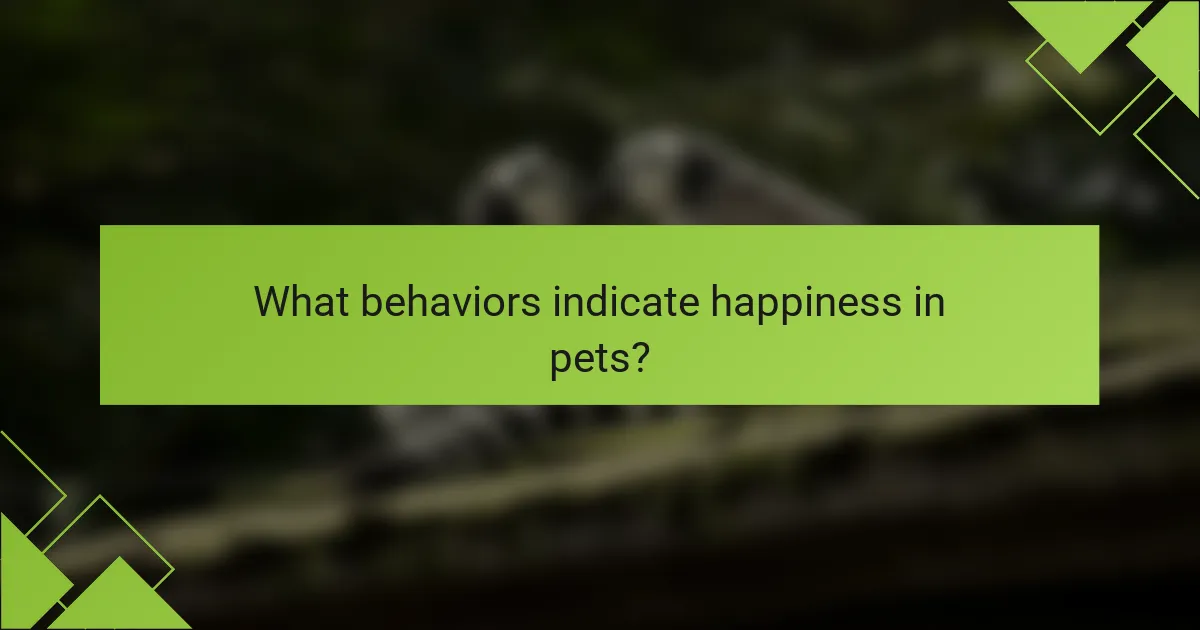 What behaviors indicate happiness in pets?