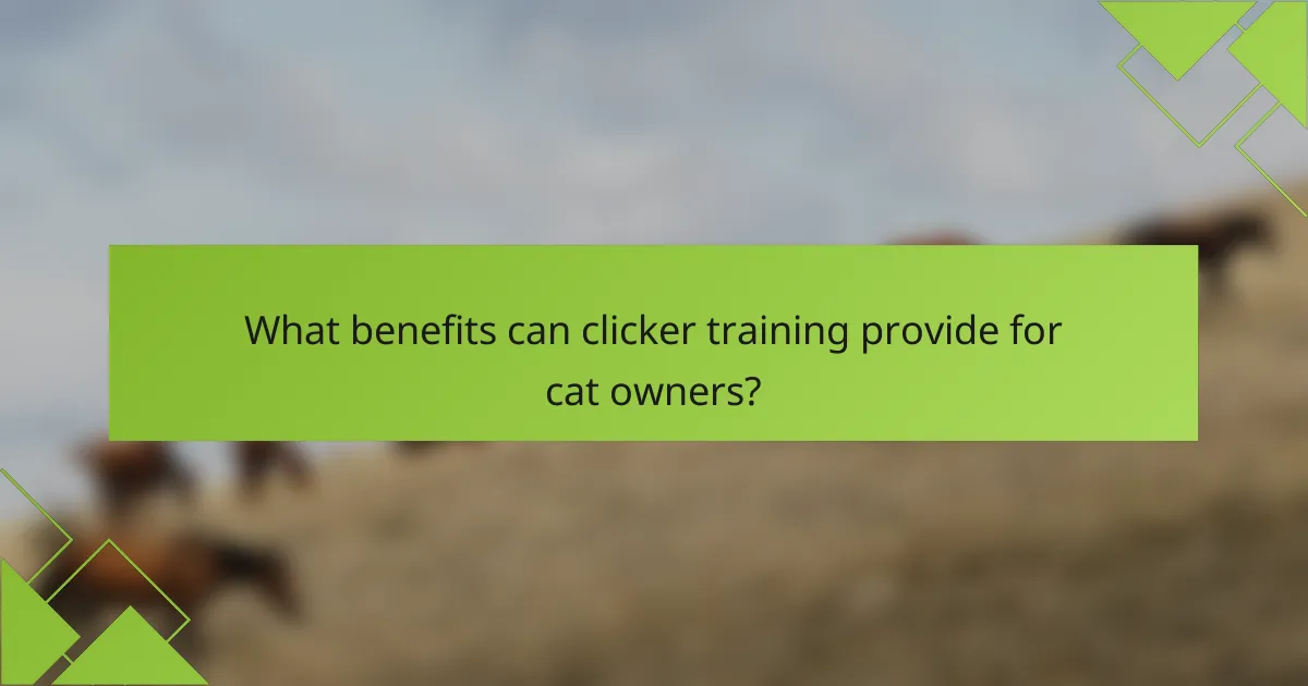 What benefits can clicker training provide for cat owners?