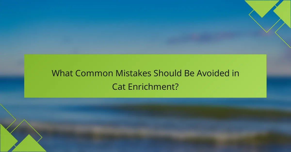 What Common Mistakes Should Be Avoided in Cat Enrichment?