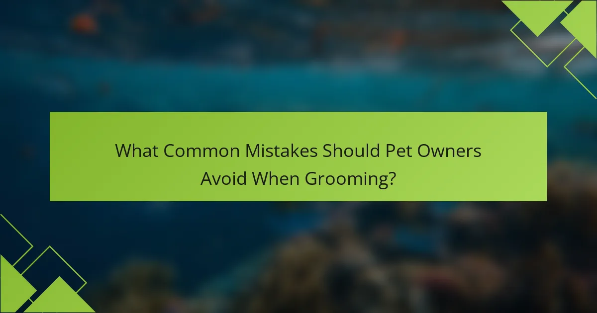 What Common Mistakes Should Pet Owners Avoid When Grooming?