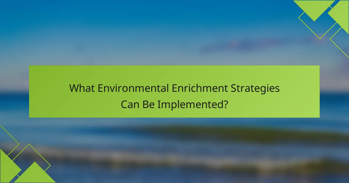 What Environmental Enrichment Strategies Can Be Implemented?