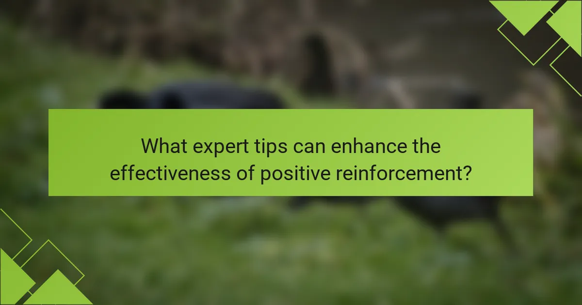 What expert tips can enhance the effectiveness of positive reinforcement?