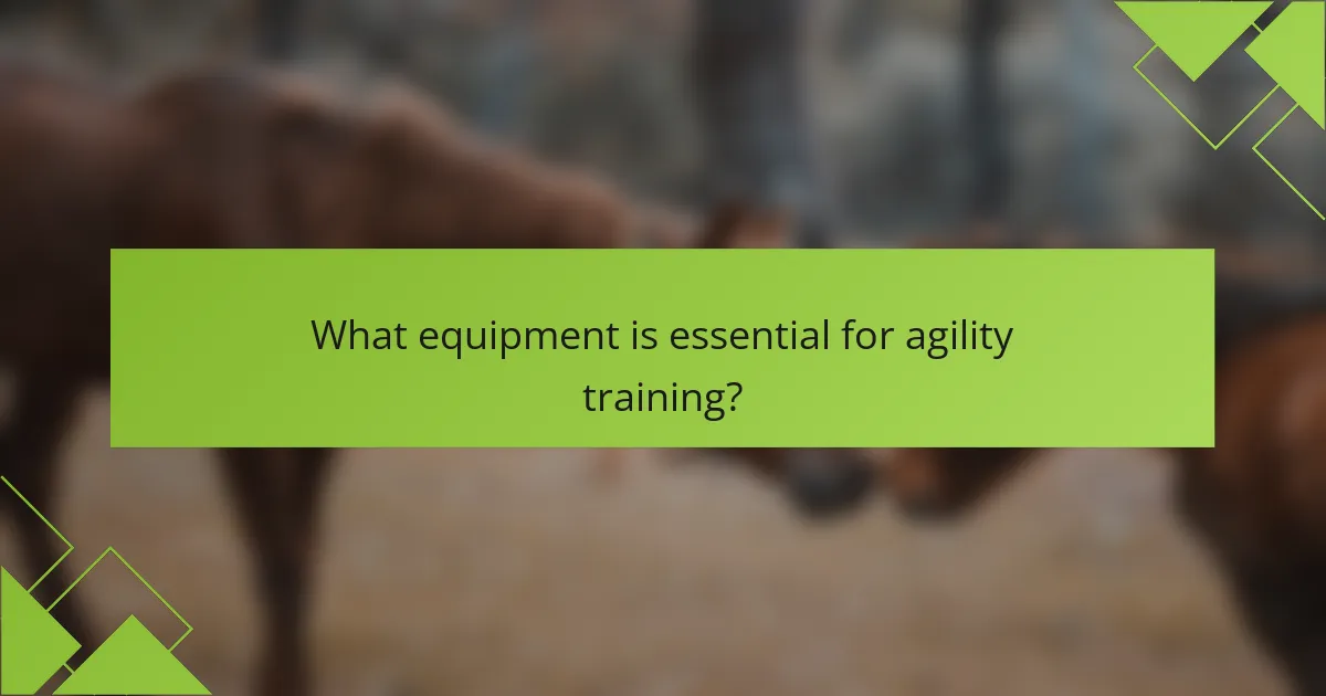What equipment is essential for agility training?