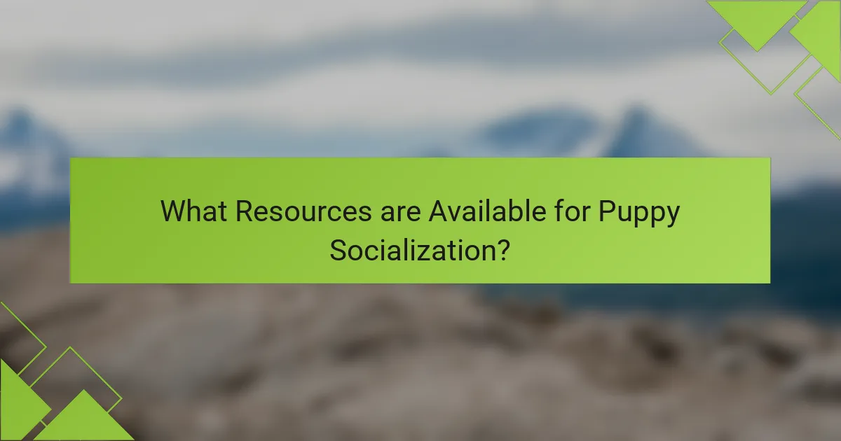 What Resources are Available for Puppy Socialization?
