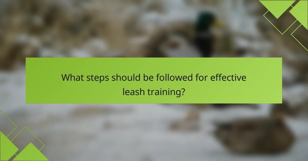 What steps should be followed for effective leash training?