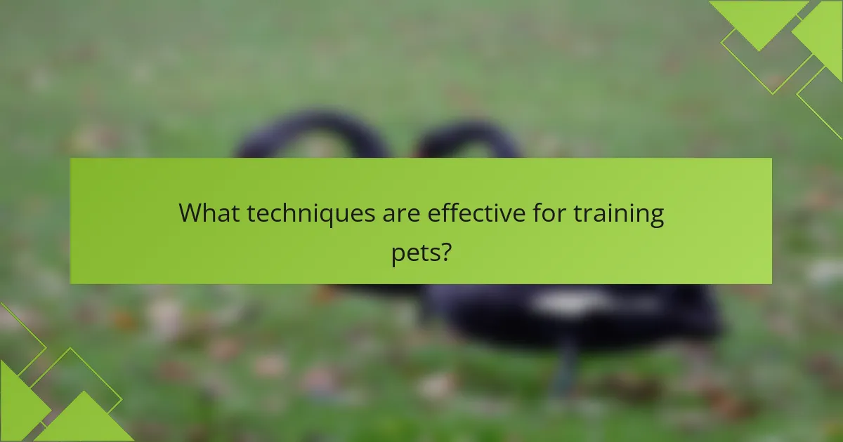 What techniques are effective for training pets?