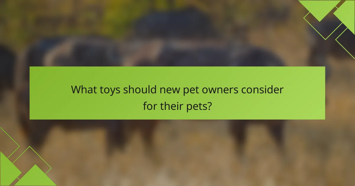 What toys should new pet owners consider for their pets?
