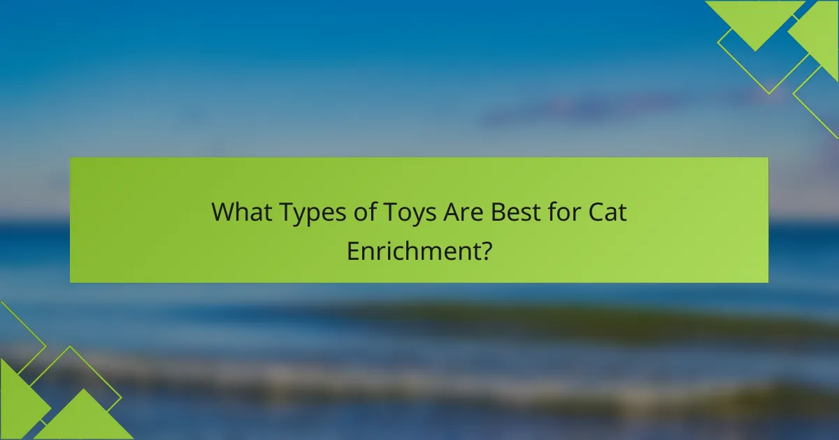 What Types of Toys Are Best for Cat Enrichment?