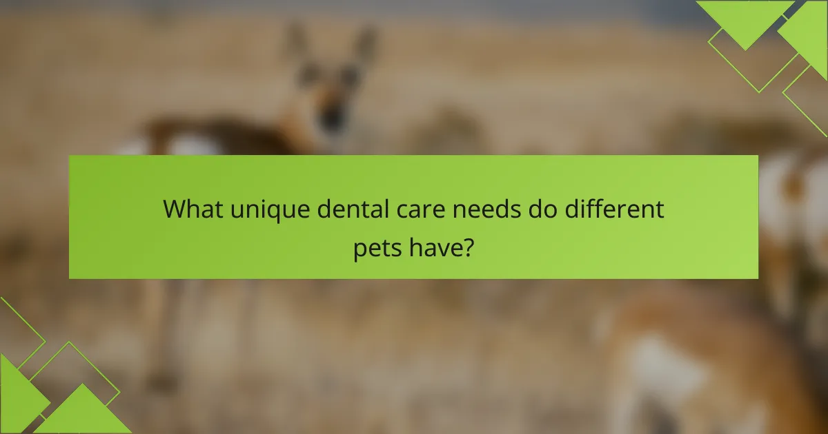 What unique dental care needs do different pets have?