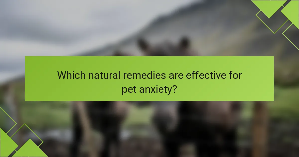 Which natural remedies are effective for pet anxiety?